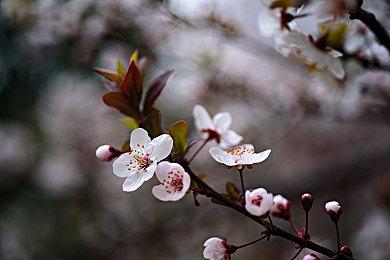 PSVR2现已开启预购 目前仅限7个国家